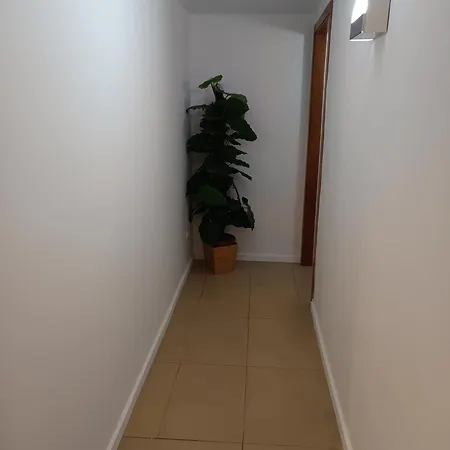 Piso Solymar Trimar